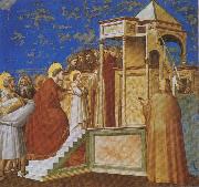 GIOTTO di Bondone Presentation of the Virgin in the Temple Sweden oil painting artist